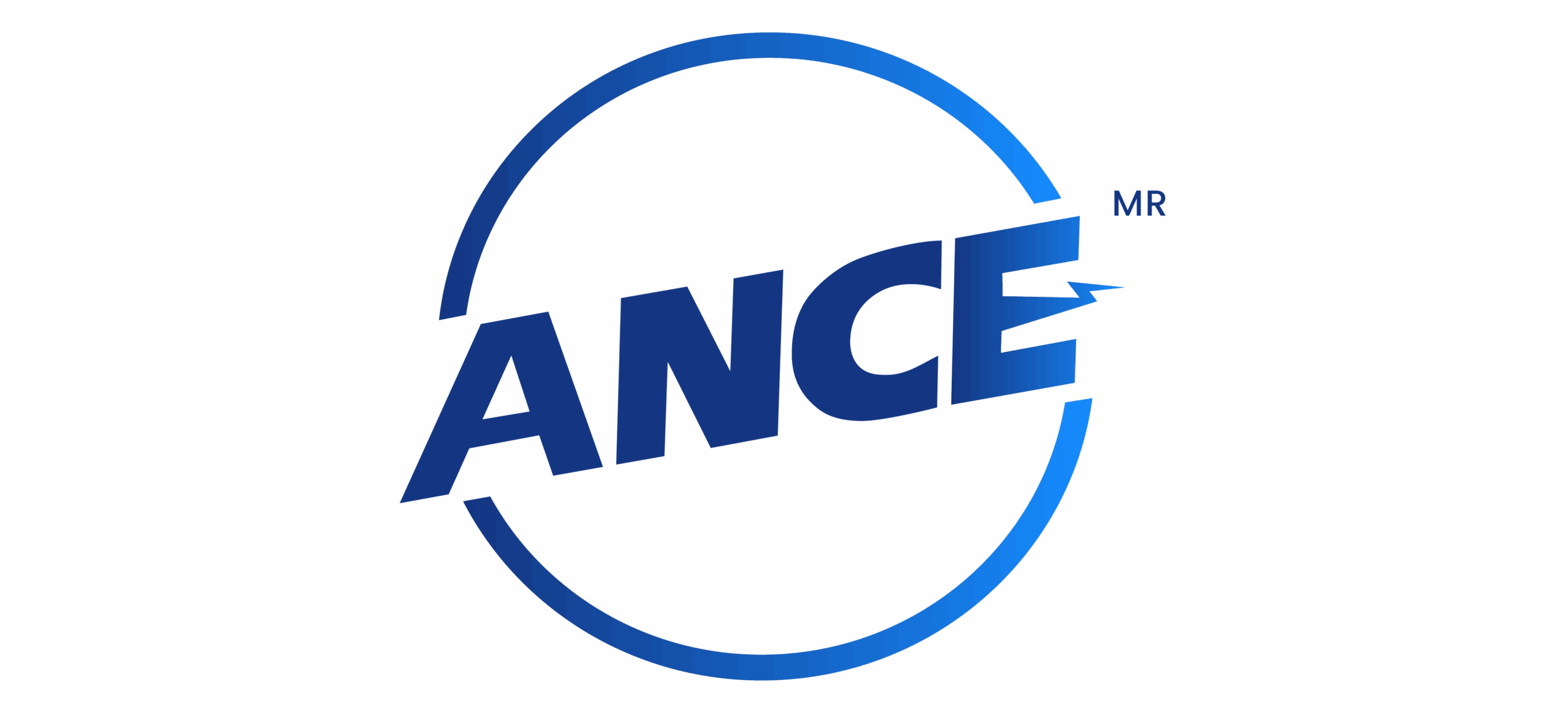 ANCE Estándares